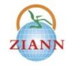 ZIANN